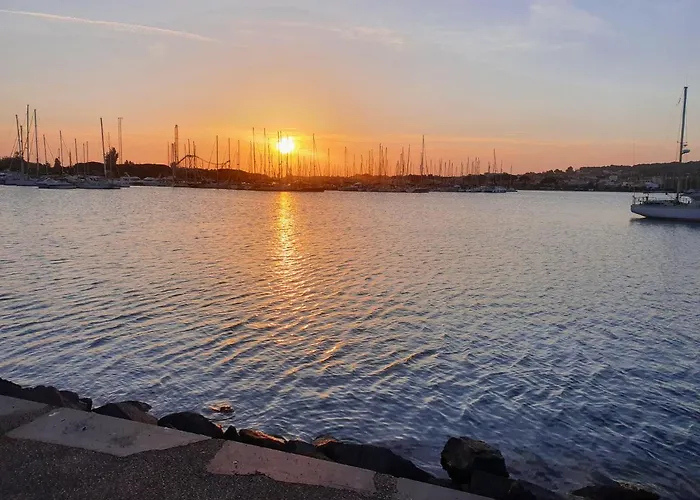 24 Tropic Deluxe * アグド